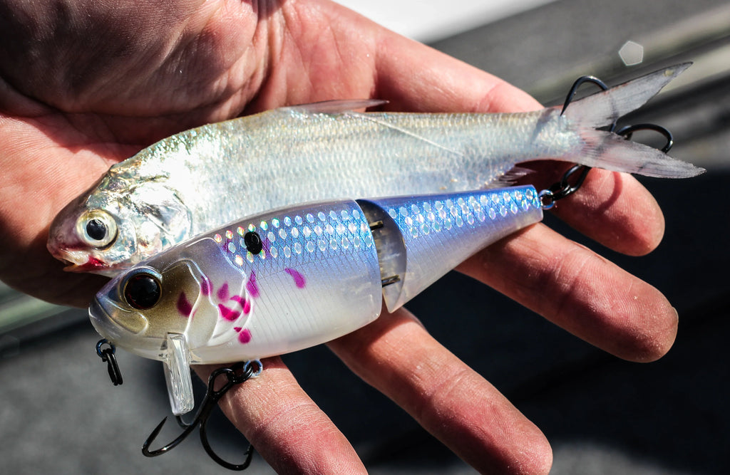 Wakebaits