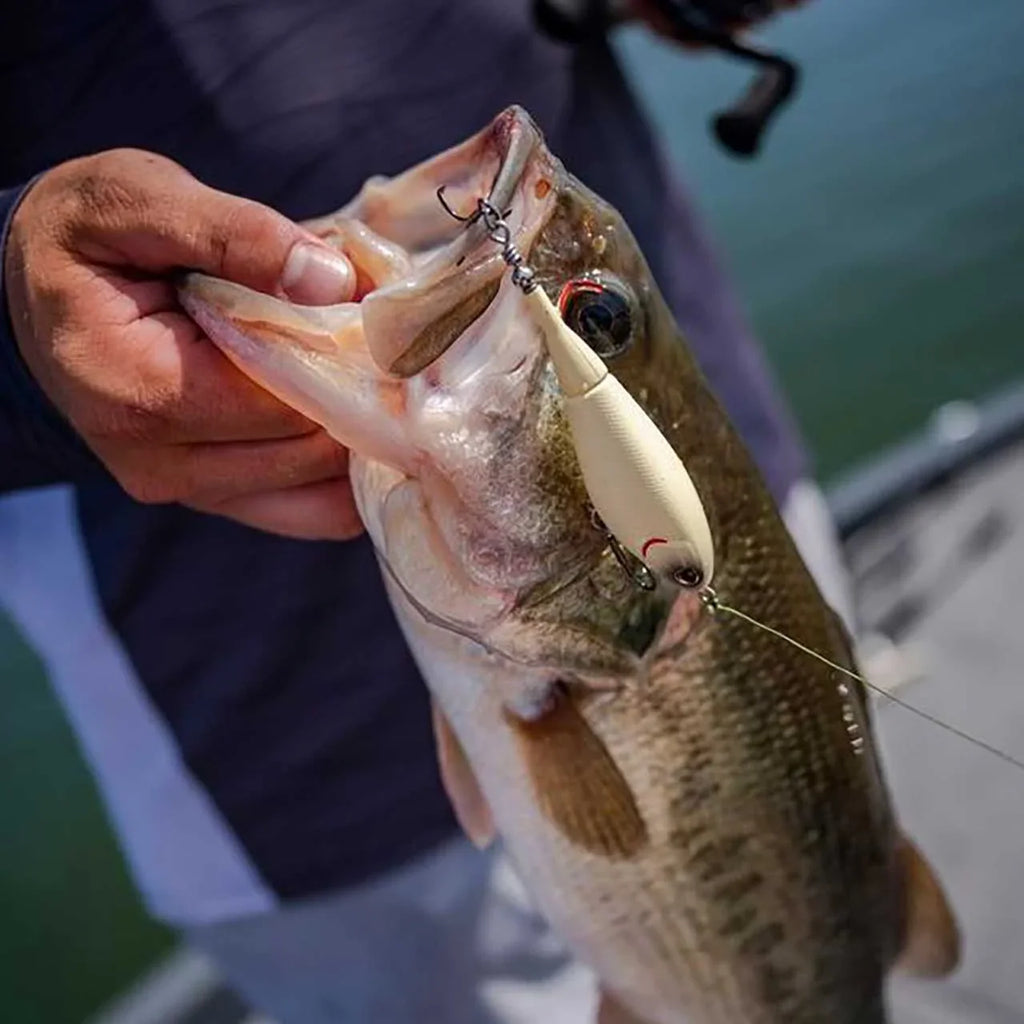 Topwater Lures