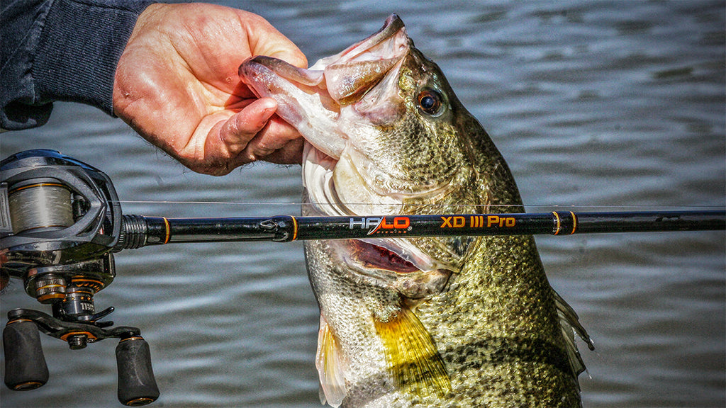 Fishing Rods