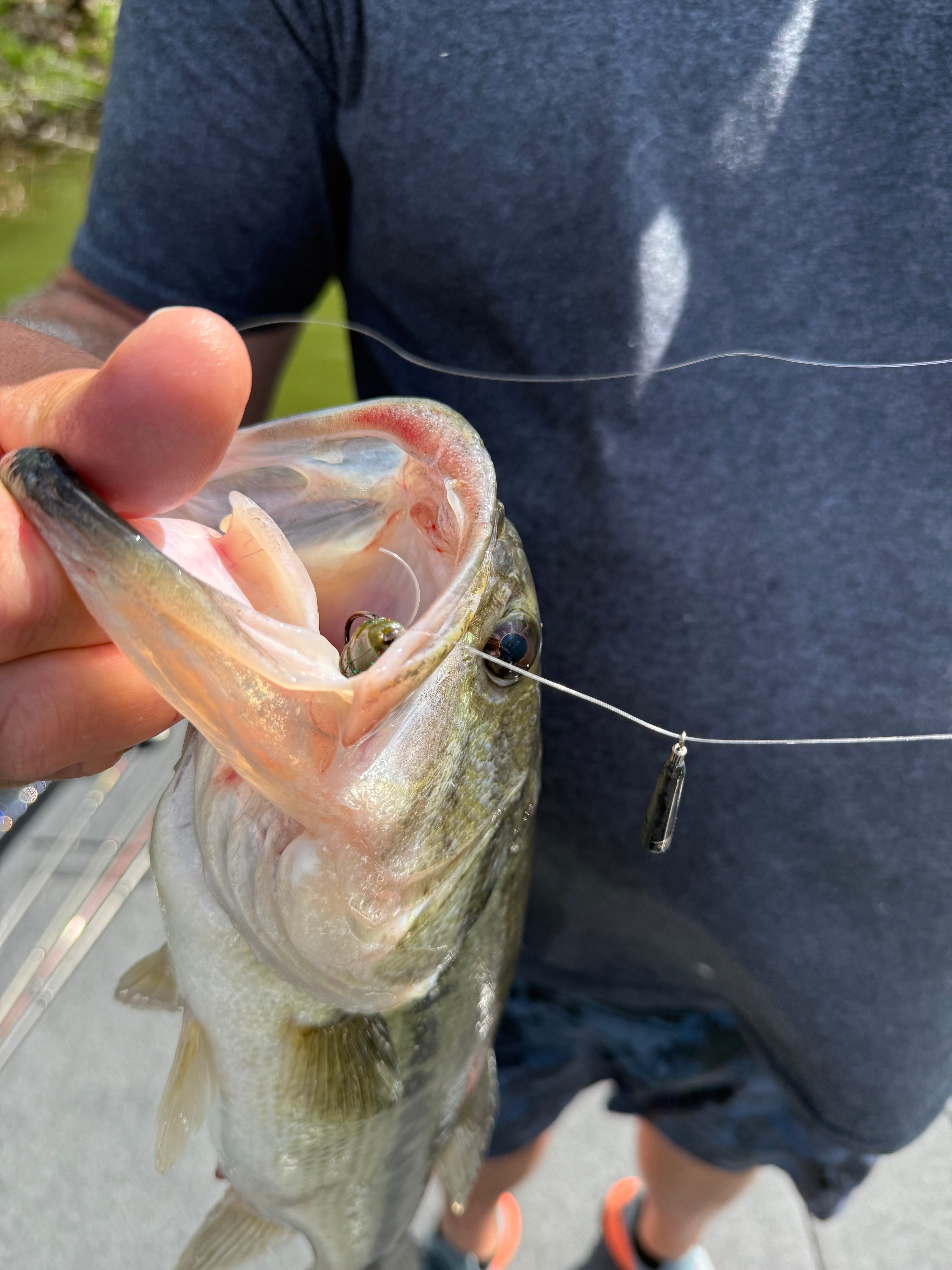 Ark Fishing Tungsten Free Rig Weights – Extreme Outdoors