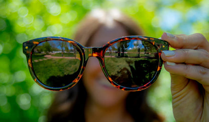 Optic Nerve Hotplate Sunglasses