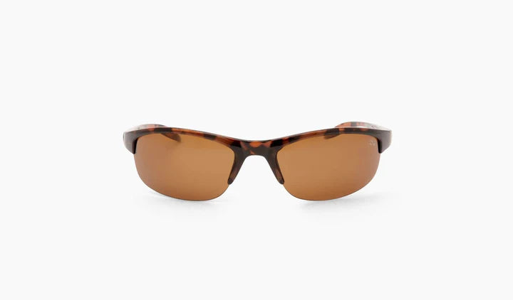 Optic Nerve Alpine Sunglasses